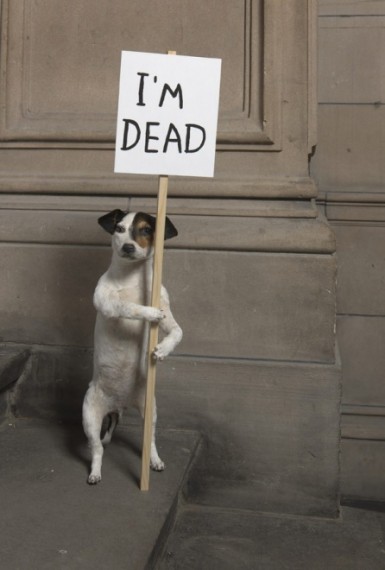 I’m Dead 2010 © David Shrigley, courtesy Collection Hamilton Corporate Finance Limited, Image courtesy Kelvingrove Art Gallery and Museum