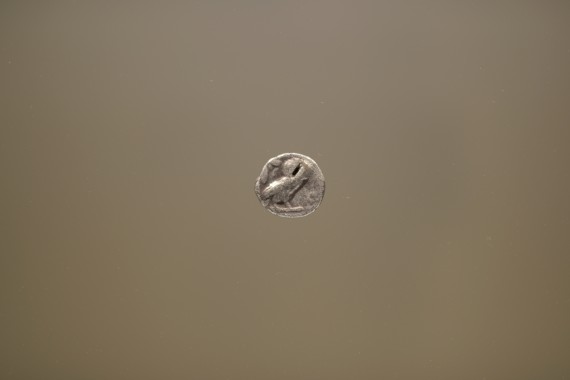 Drachma, 2013 (gresk mynt ca. 449 – 413 før Kr.), detalj. Foto: Christina Leithe Hansen