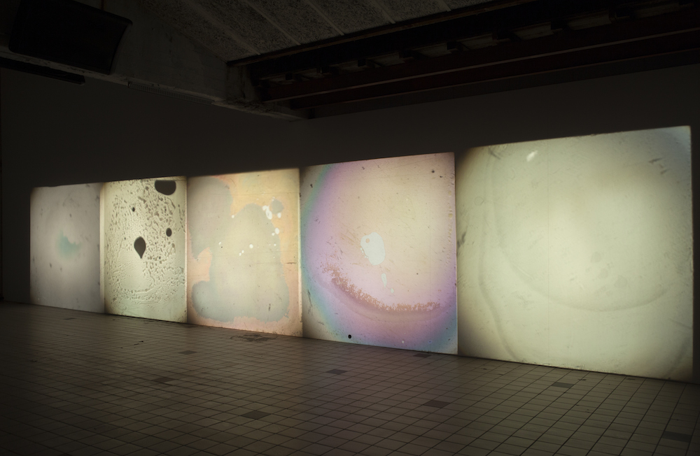 Gustav Metzger, Allegory of the Cave Painting, installation view, Extra City Kunsthal, Antwerpen, 2014 © We Document Art